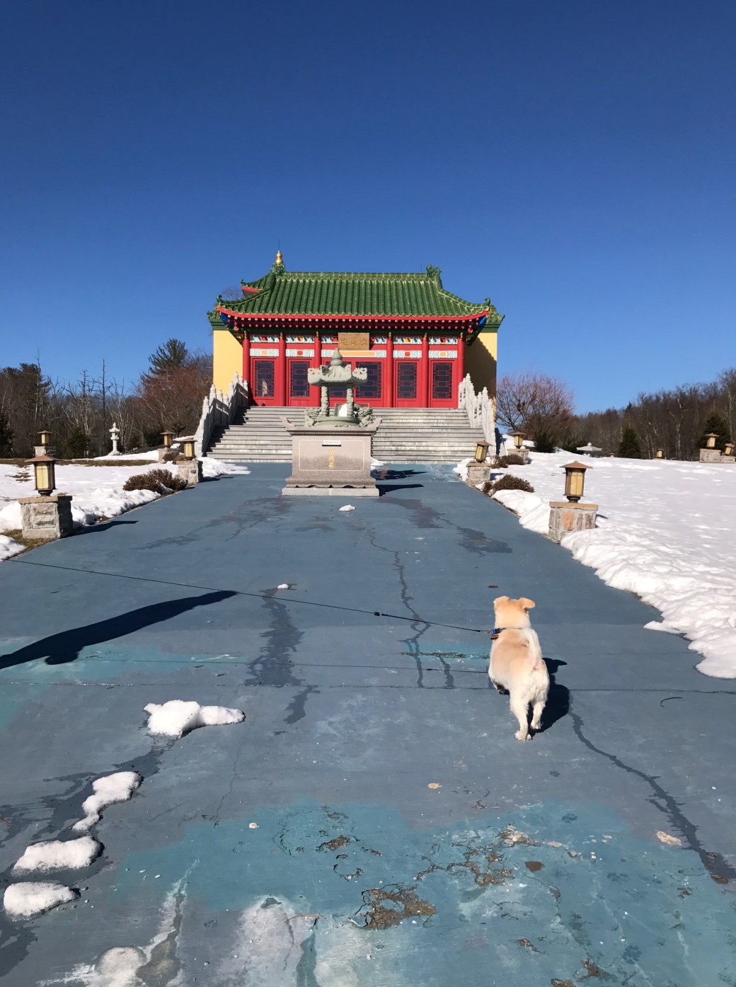 Callie at Mahayana Temple